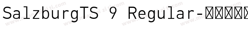 SalzburgTS 9 Regular字体转换